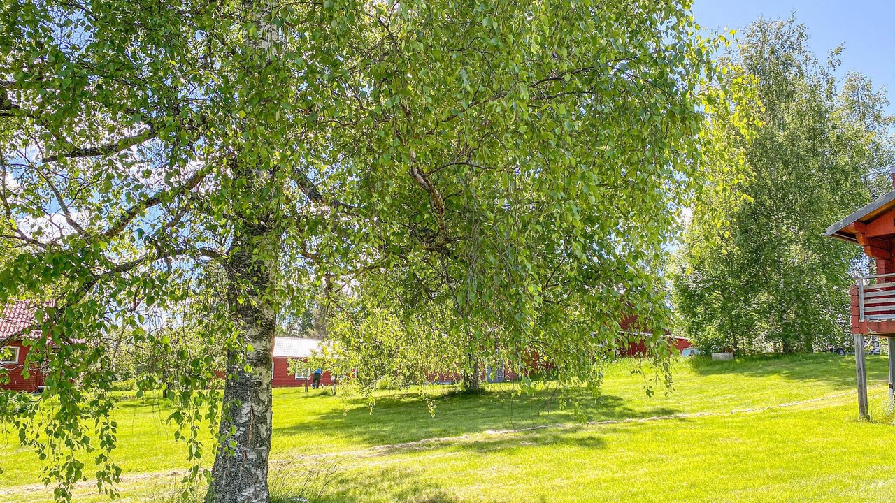 Photo of Others in Ludvika