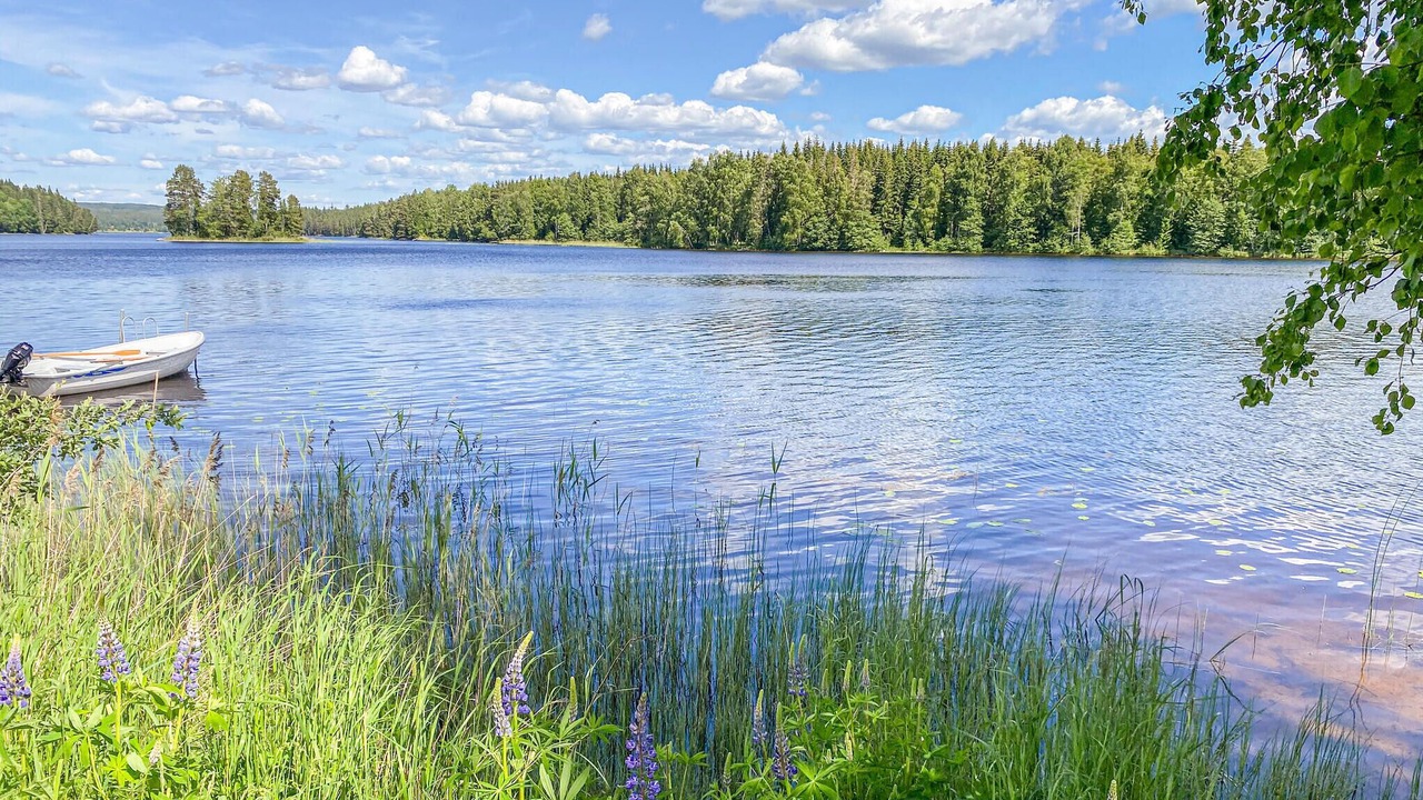 Photo of Others in Ludvika