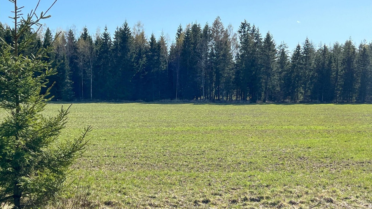 Photo of Others in Mellerud