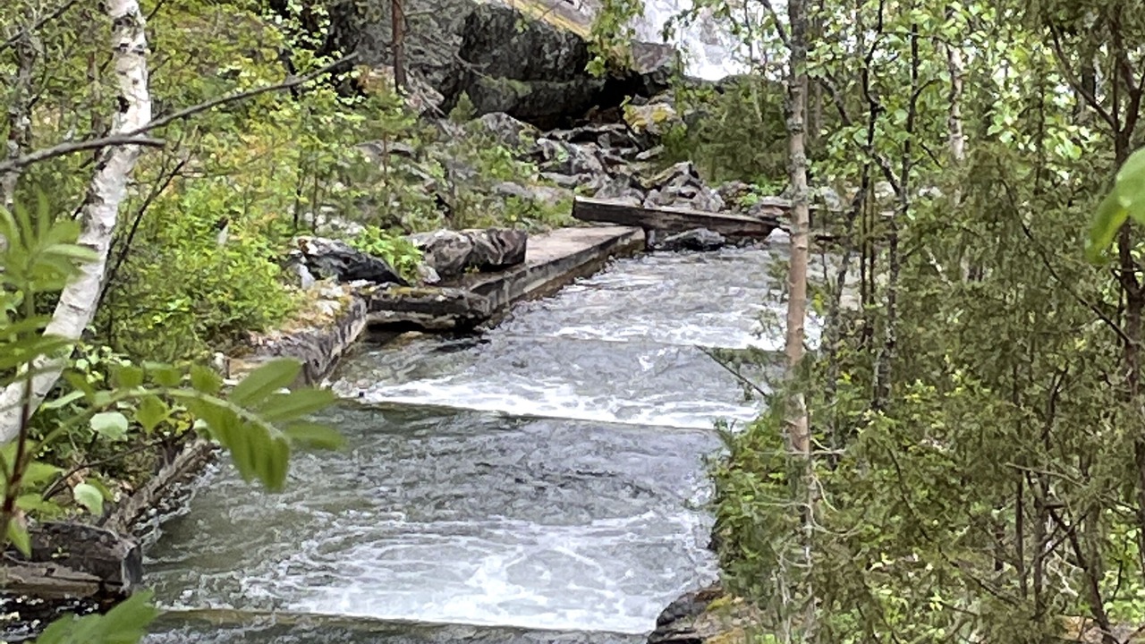 Photo of Outdoor in Hunge