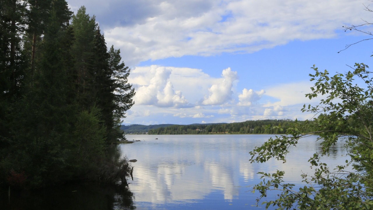 Photo of Others in Hunge