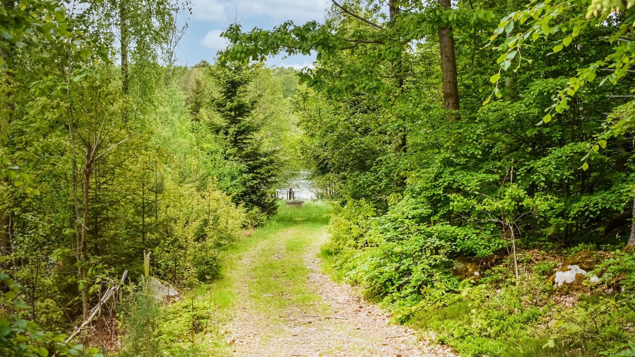 Photo of Others in Olofstrom