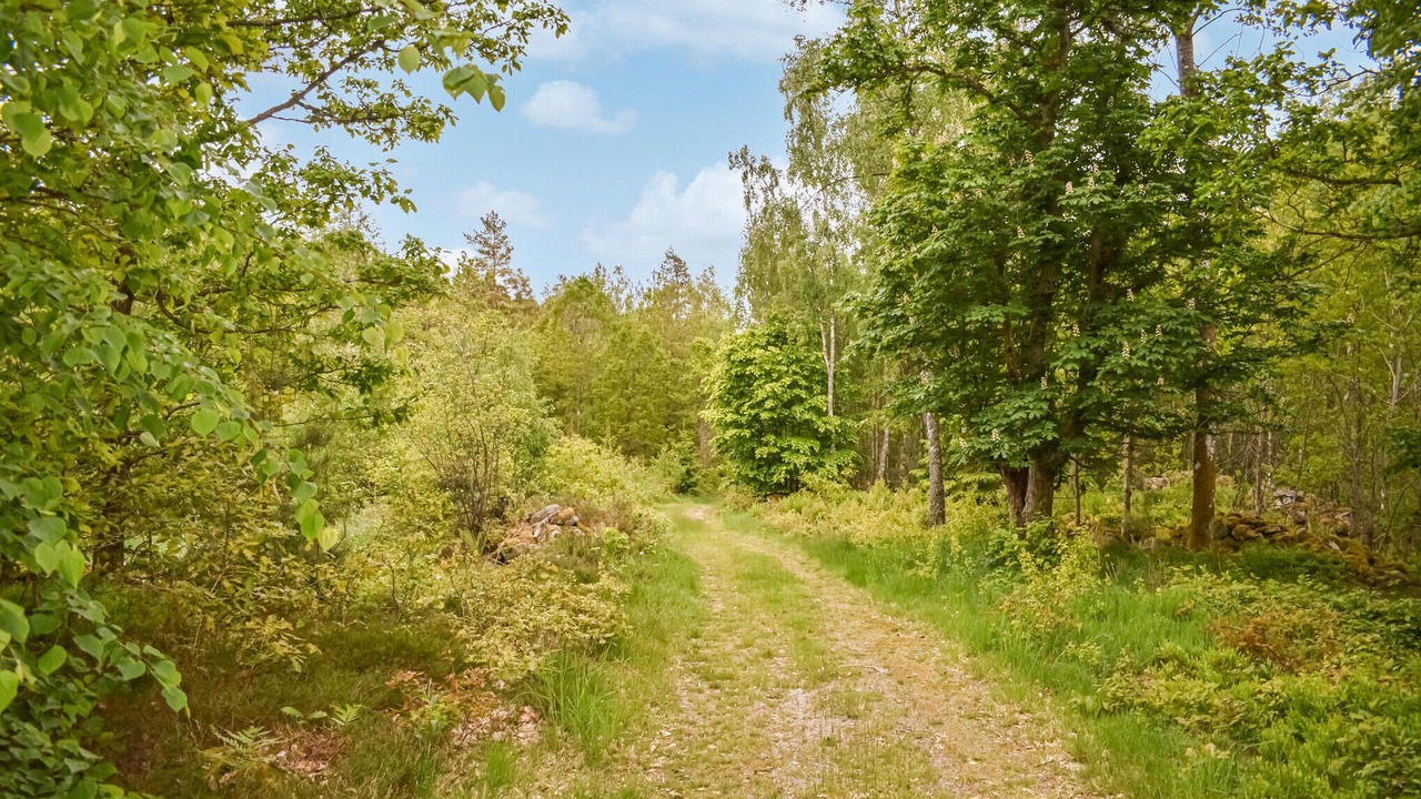 Photo of Outdoor in Olofstrom