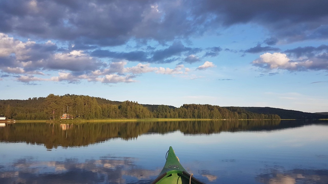 Photo of Others in Skog