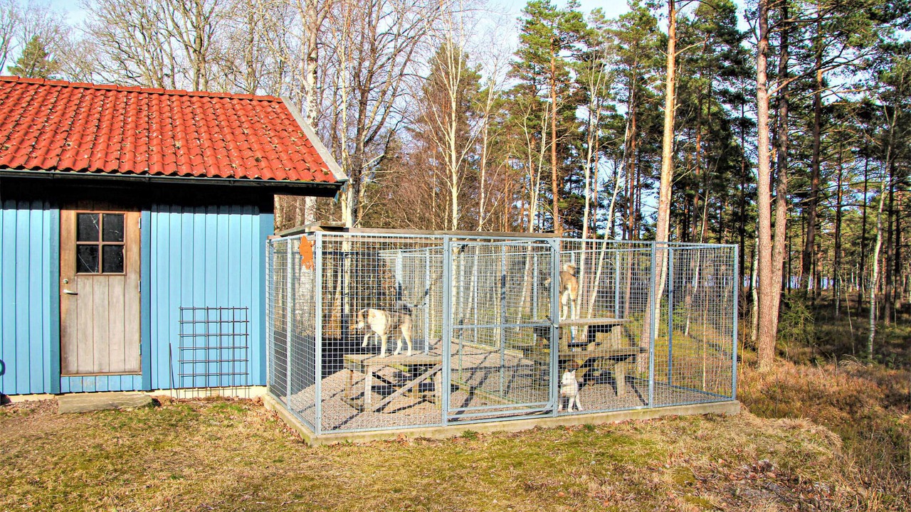 Photo of Others in Langaryd