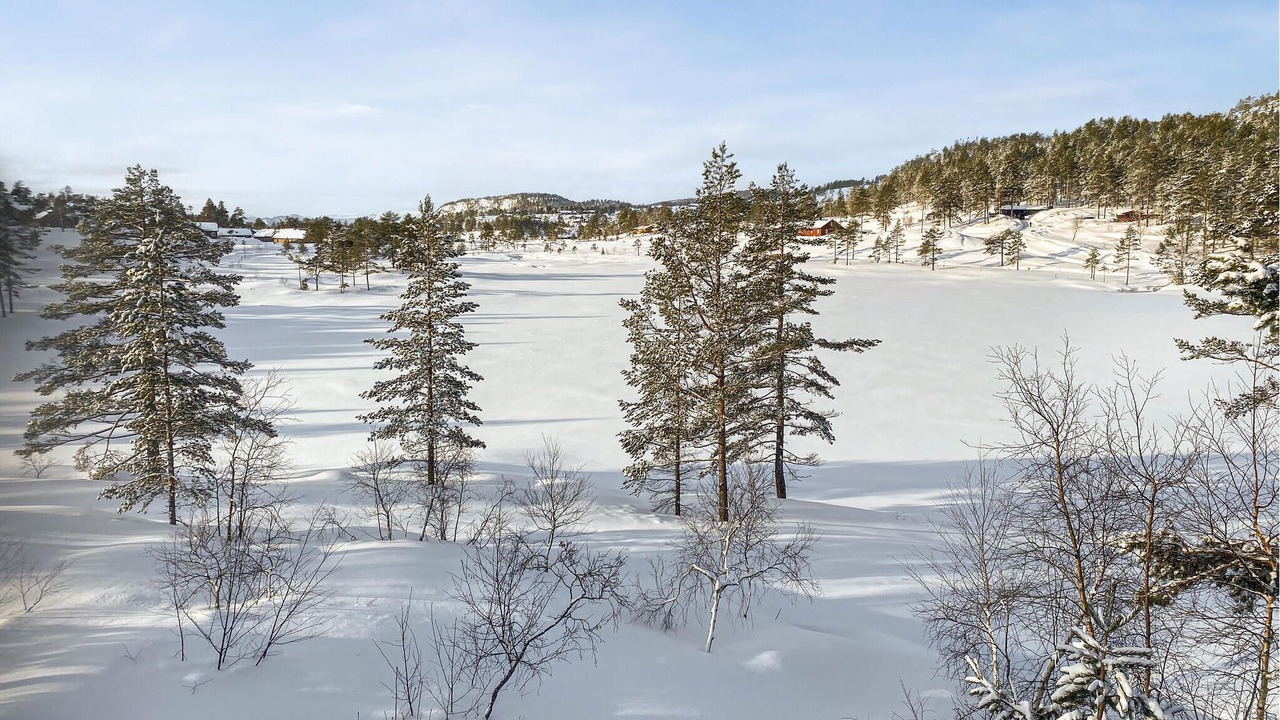 Photo of Others in Nissedal