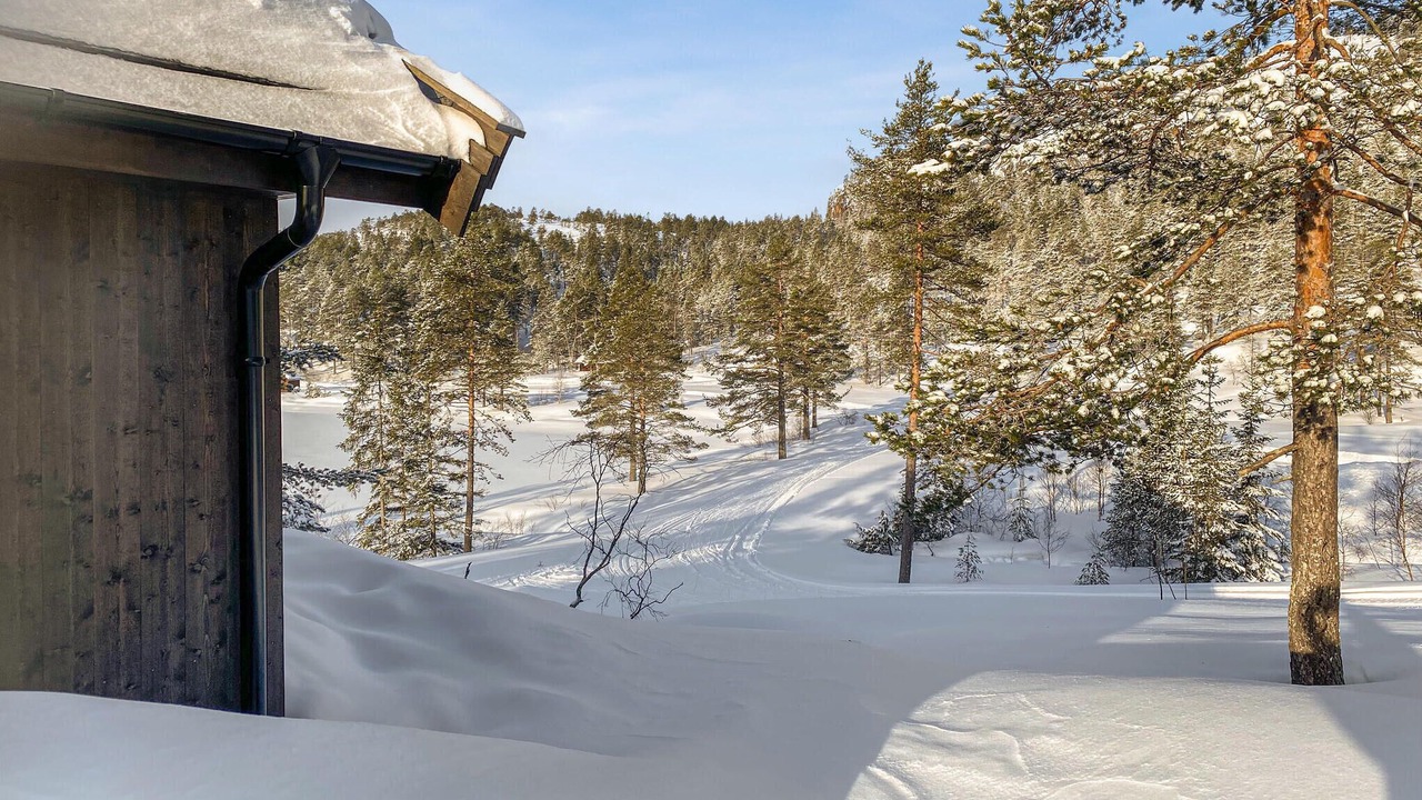 Photo of Others in Nissedal