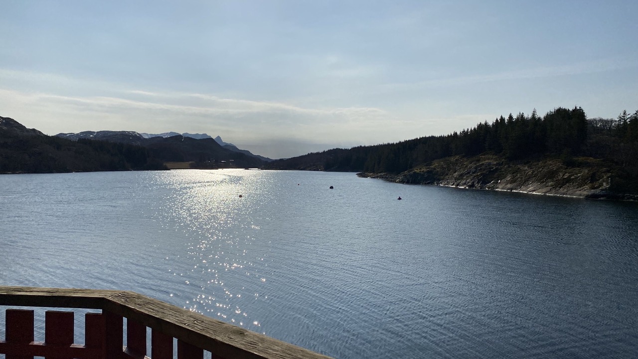 Photo of Others in Solfjellsjoen