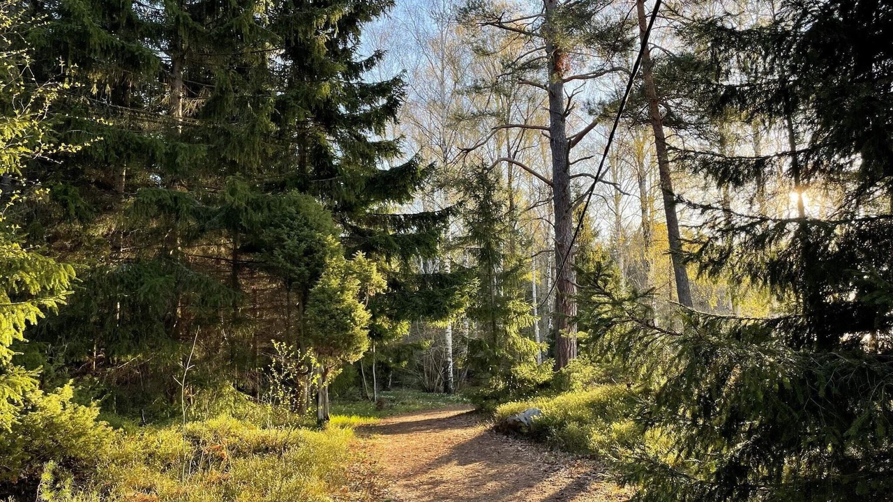 Photo of Others in Sodersvik