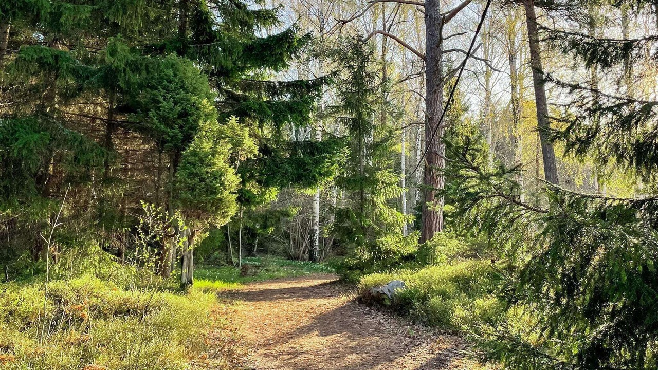Photo of Others in Sodersvik