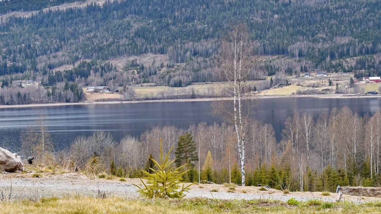 Photo of Others in Hurdal Municipality