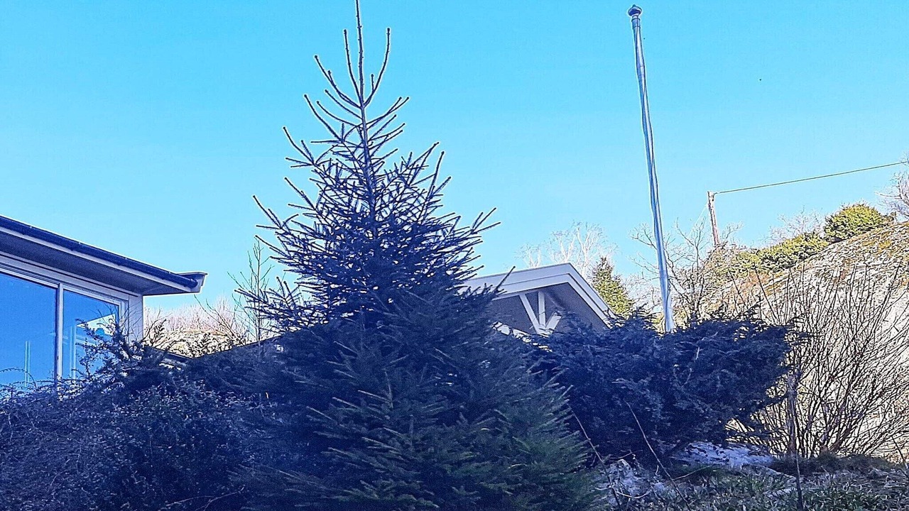 Photo of Outdoor in Lyngdal