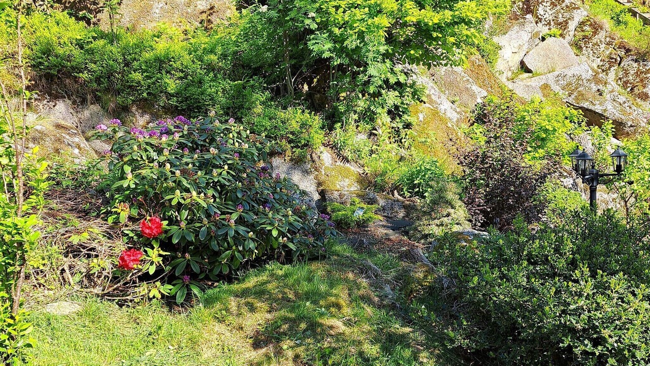 Photo of Outdoor in Lyngdal