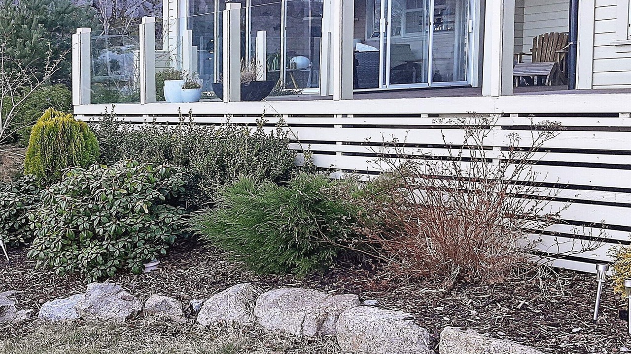 Photo of Outdoor in Lyngdal