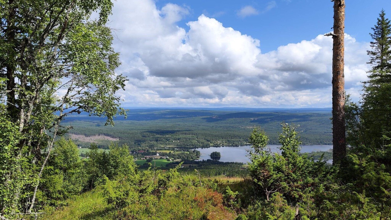 Photo of Others in Overbyn