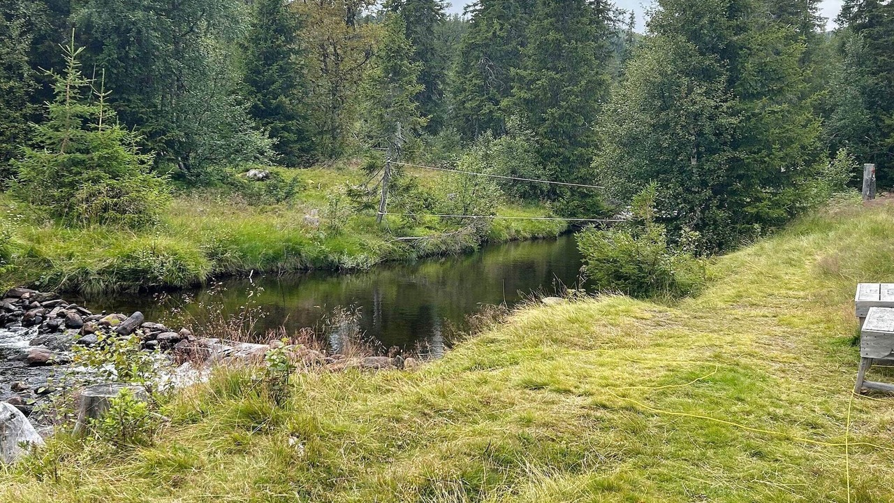Photo of Outdoor in Rollag