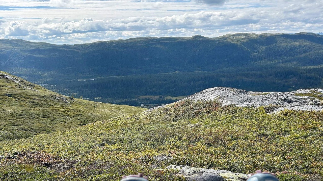 Photo of Outdoor in Rollag