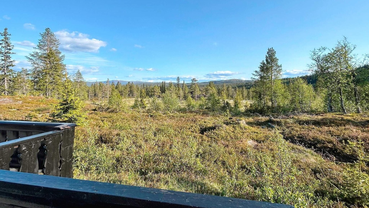 Photo of Outdoor in Rollag