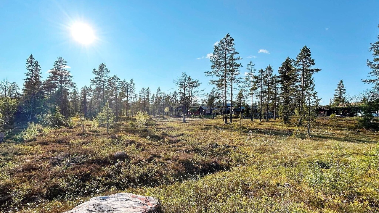 Photo of Outdoor in Rollag