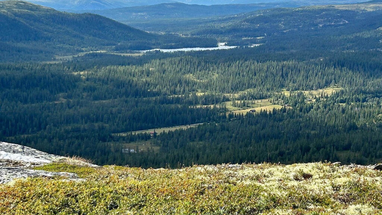 Photo of Outdoor in Rollag