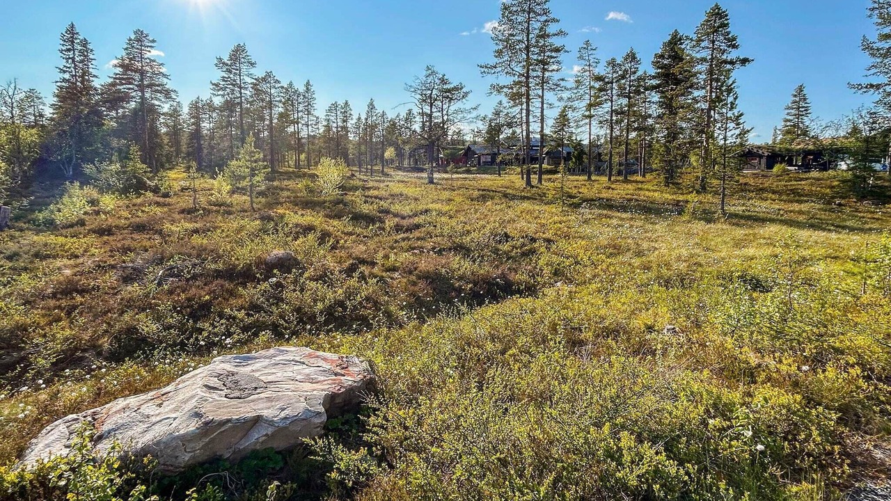 Photo of Outdoor in Rollag