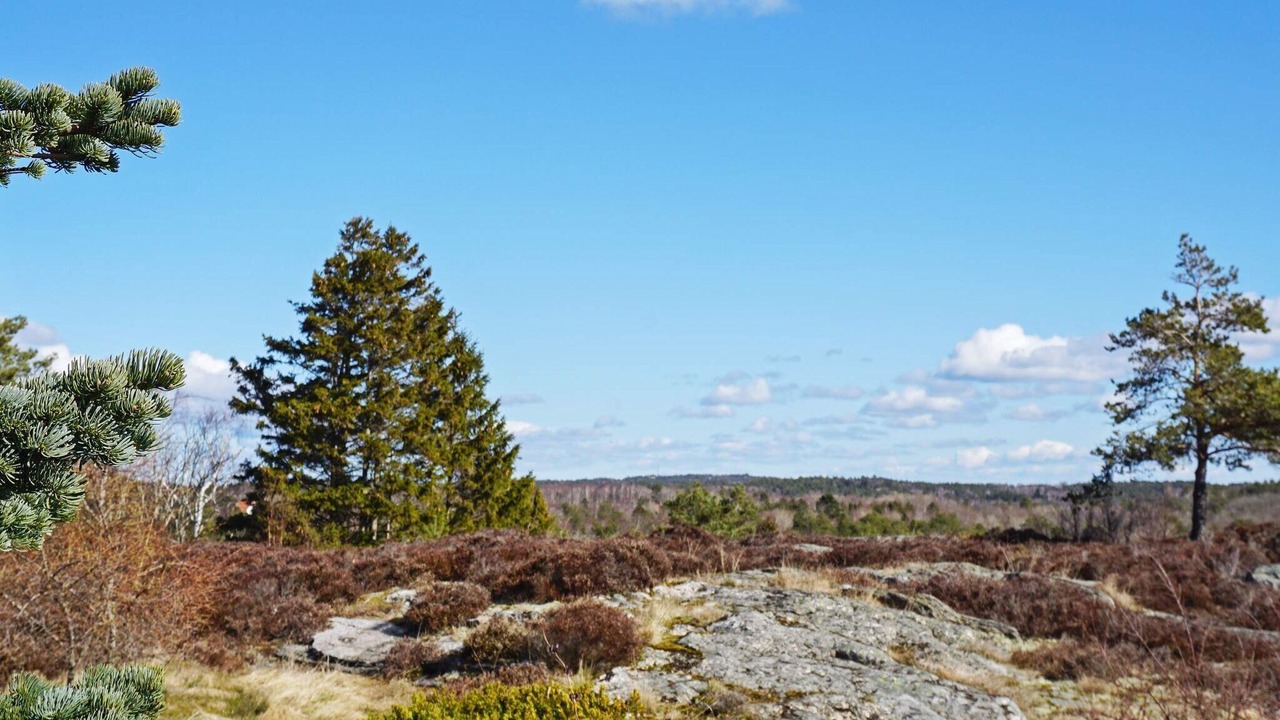 Photo of Others in Lysekil
