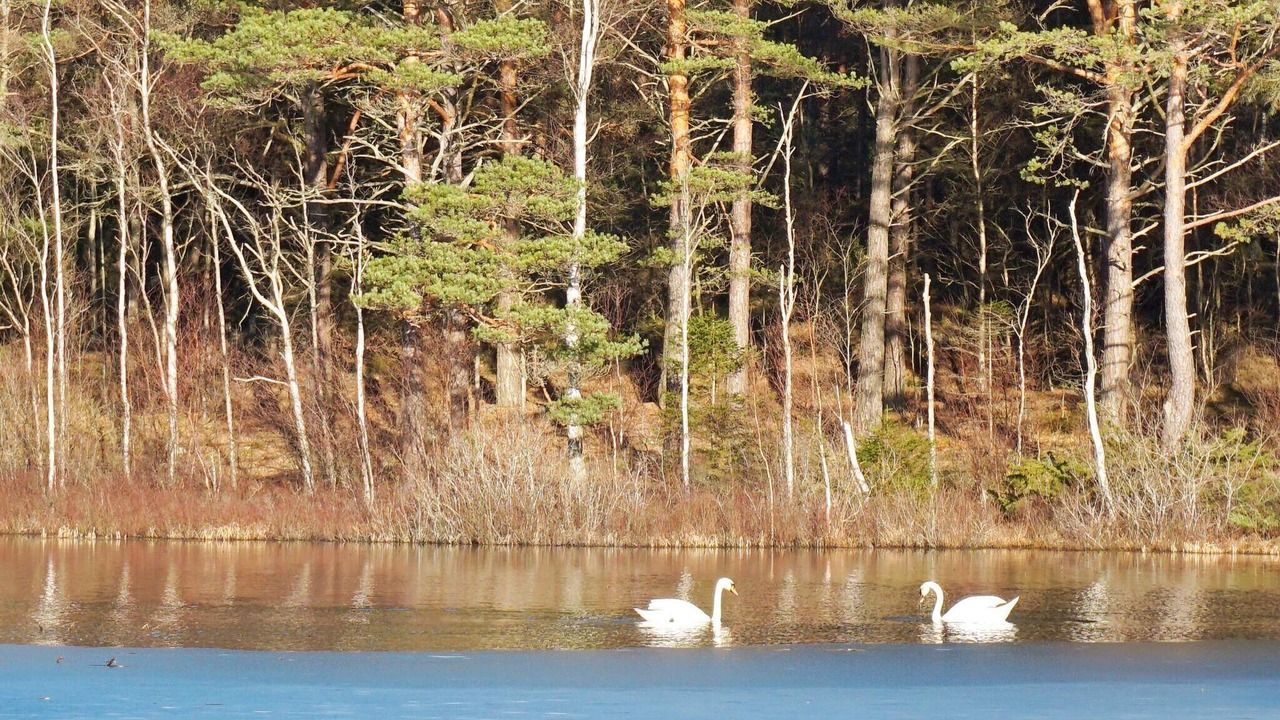 Photo of Outdoor in Hedekas