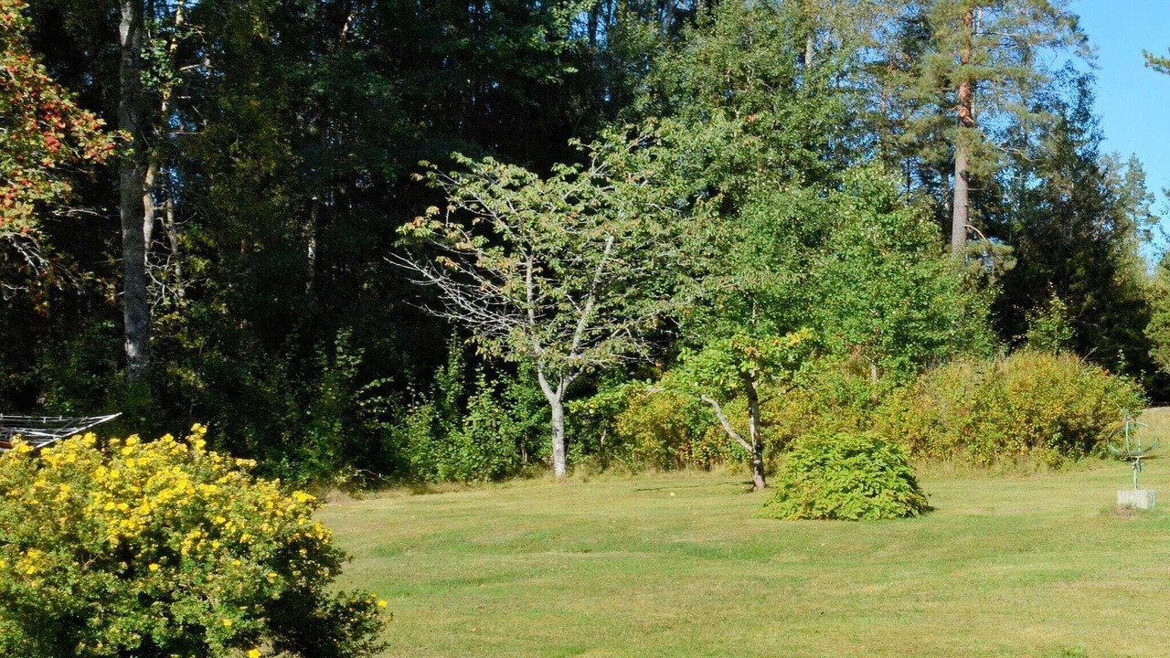 Photo of Outdoor in Hammaro