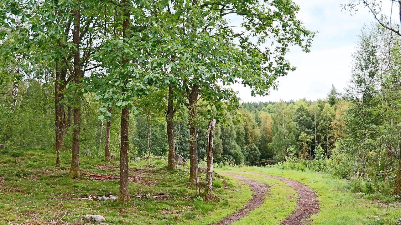 Photo of Outdoor in Laholm Municipality