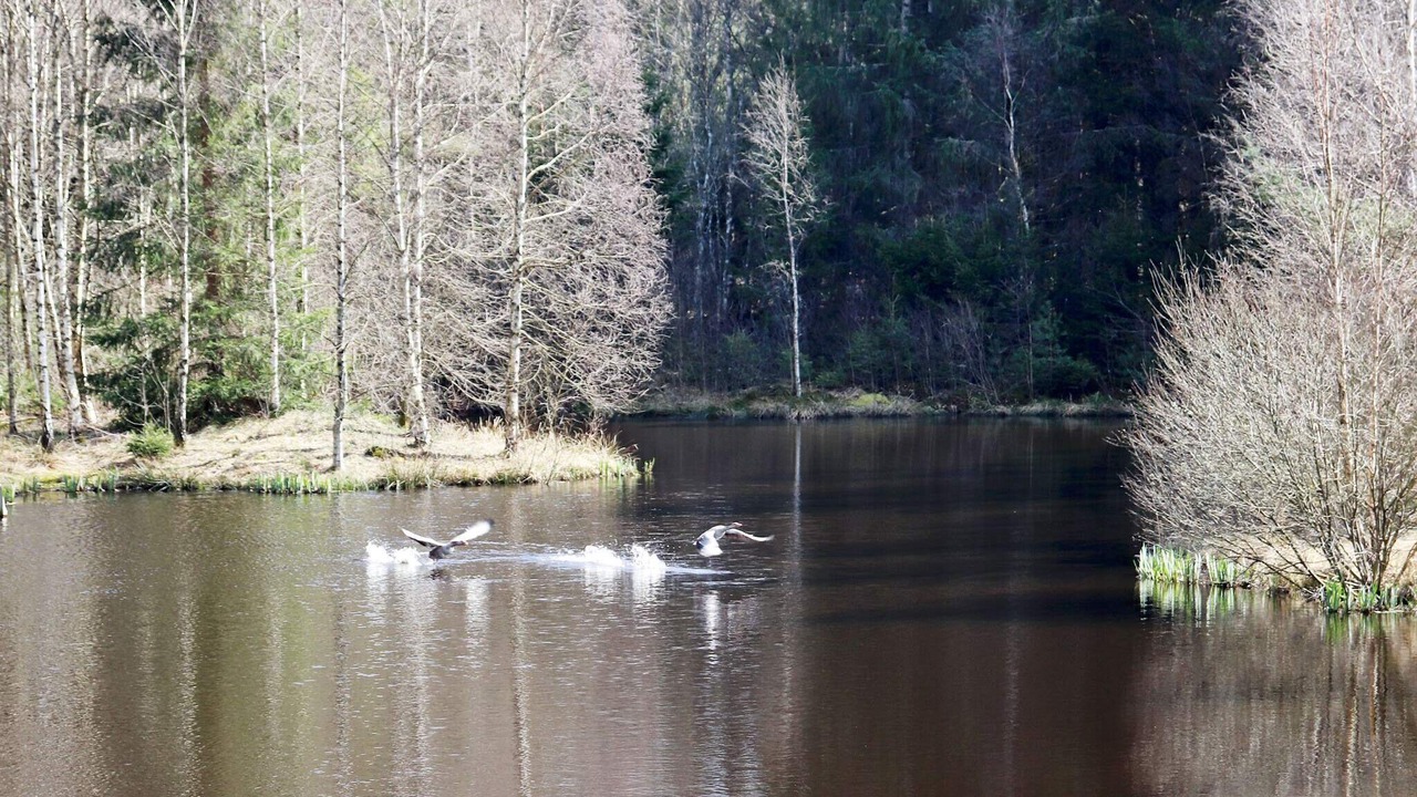 Photo of Others in Laholm Municipality
