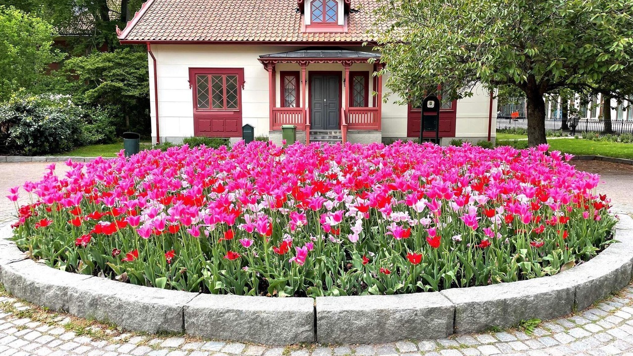 Photo of Outdoor in Linkoping