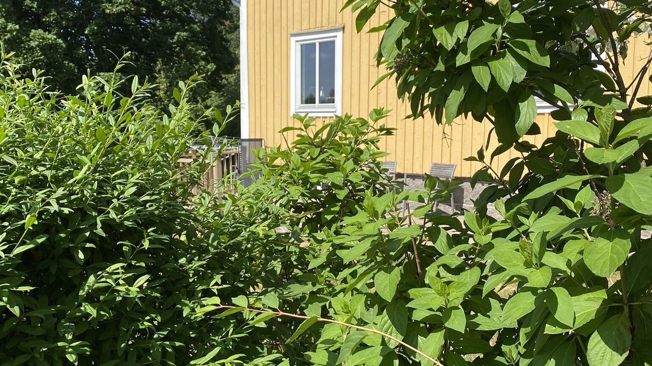 Photo of Outdoor in Ingelstad