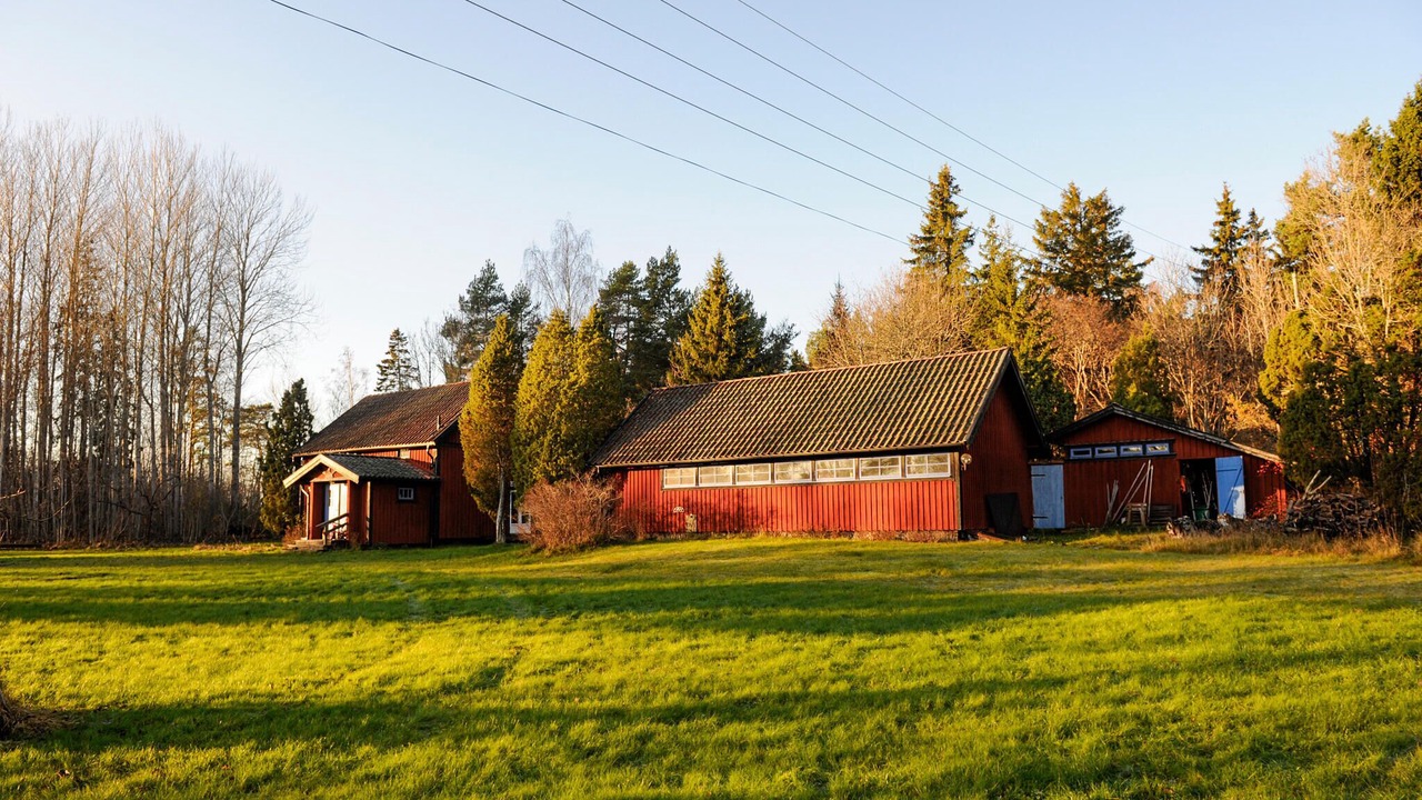Photo of Others in Grisslehamn