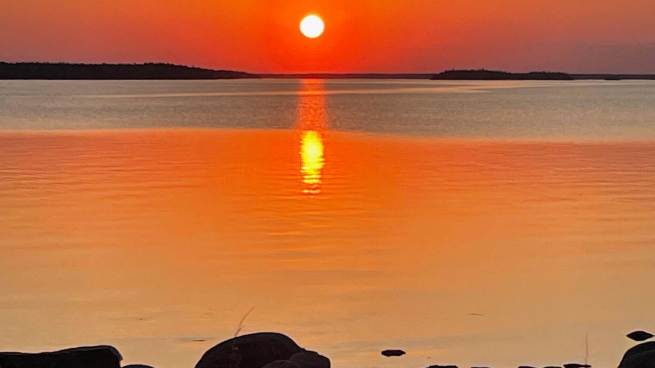 Photo of Others in Grisslehamn