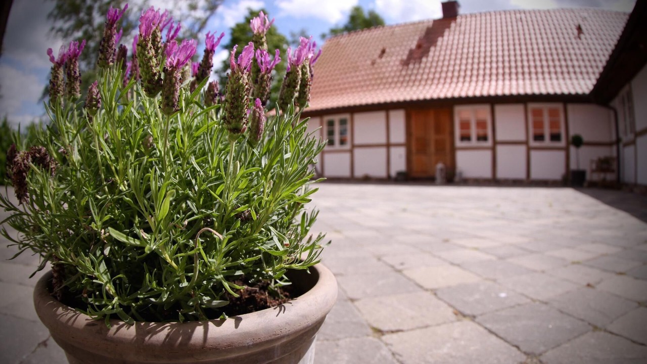 Photo of Outdoor in Bara