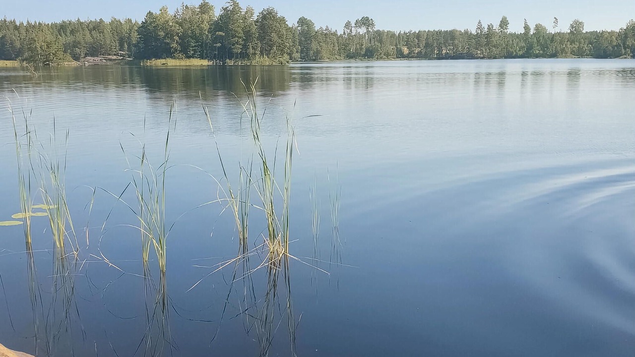 Photo of Others in Morlunda