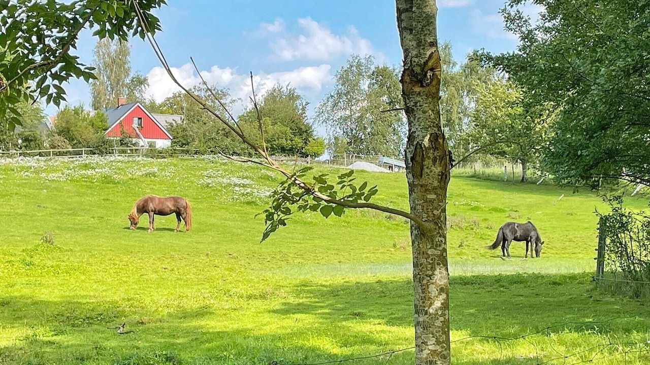 Photo of Others in Gislov