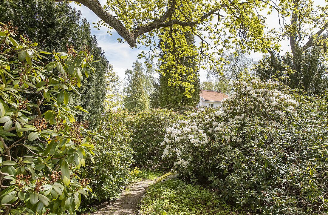 Photo of Outdoor in Saltsjobaden
