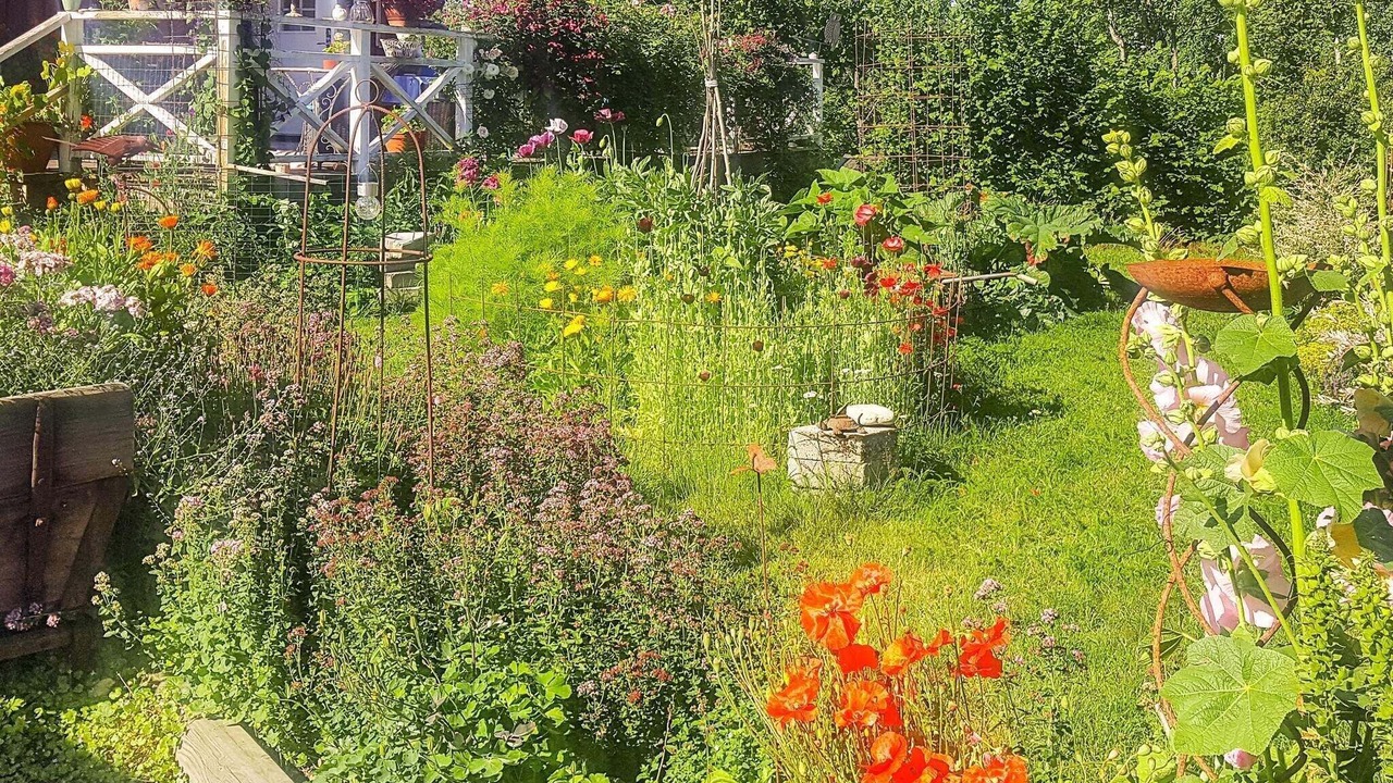 Photo of Outdoor in Flen Municipality