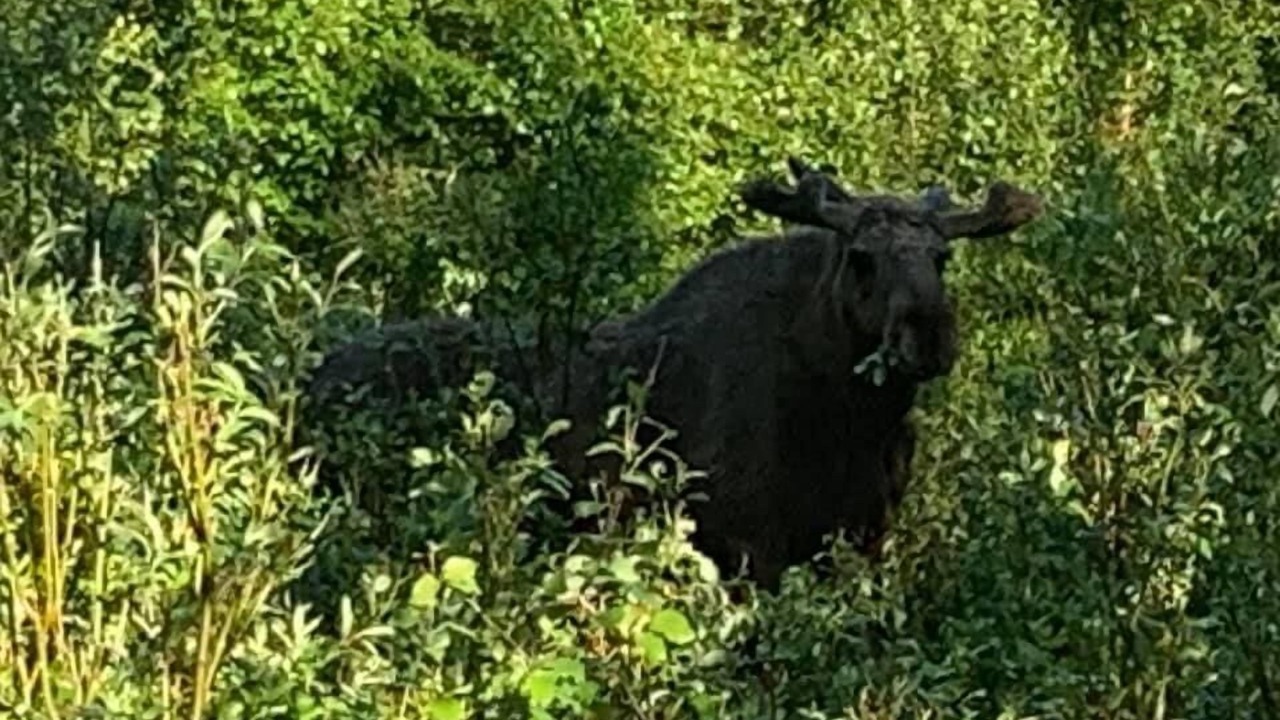 Photo of Outdoor in Randijaur