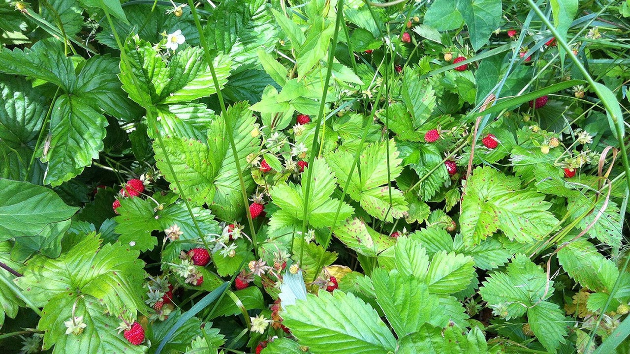 Photo of Outdoor in Landvetter