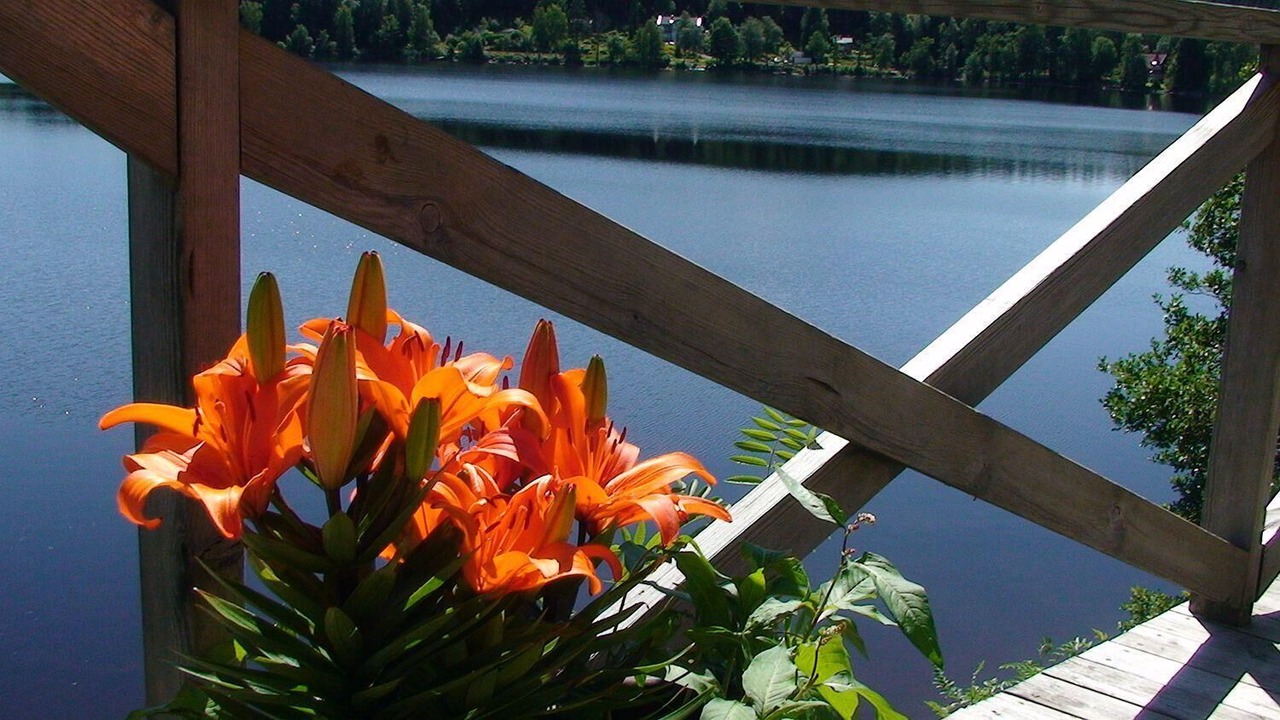 Photo of Outdoor in Landvetter