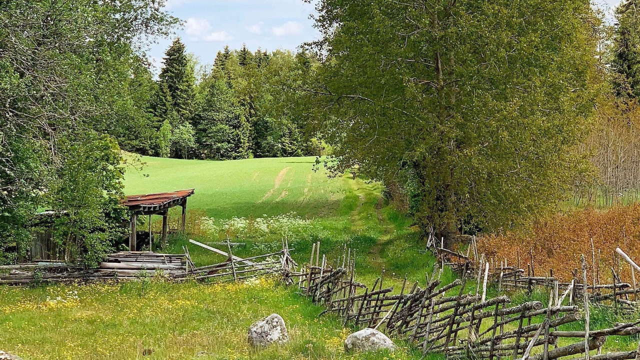 Photo of Outdoor in Norra Sonarp