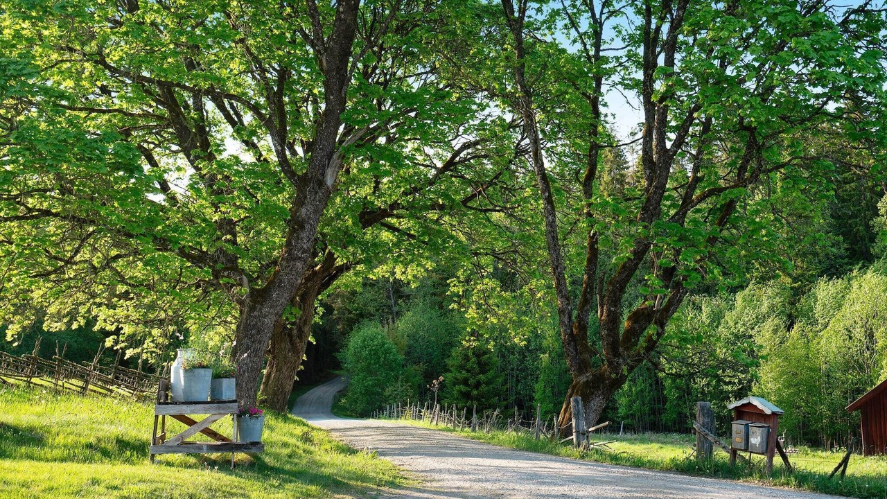 Photo of Outdoor in Norra Sonarp