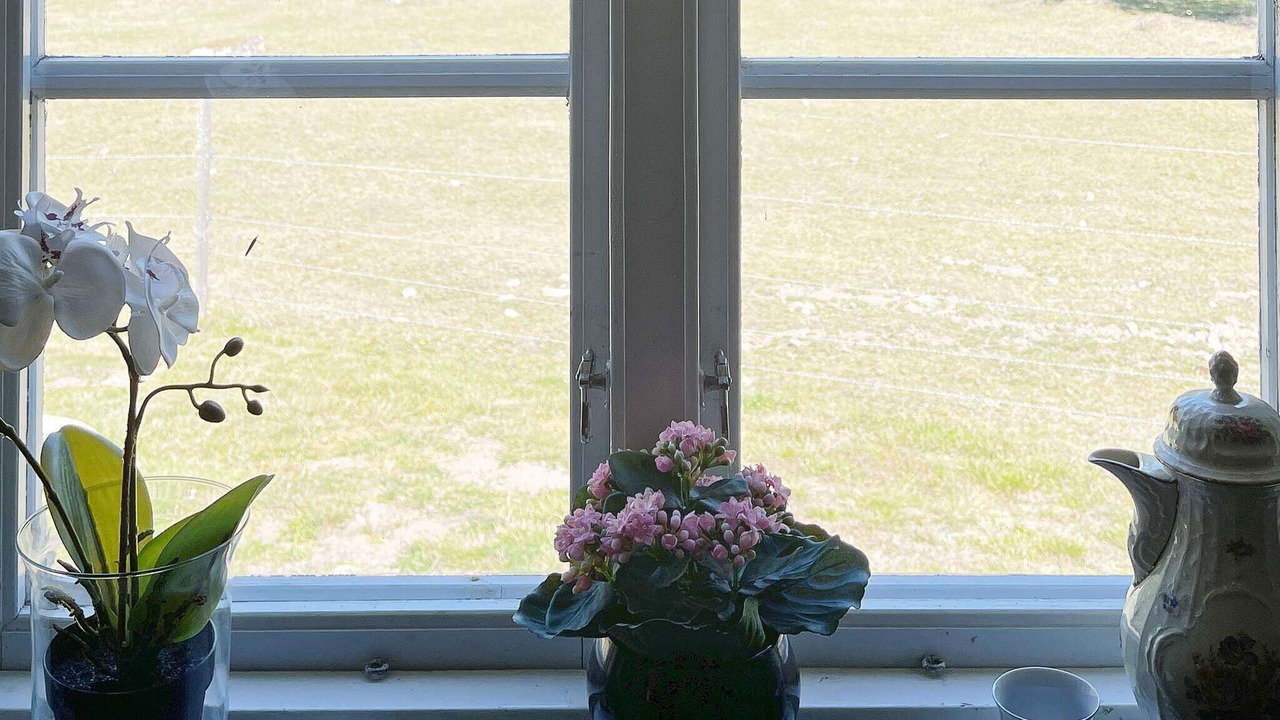 Photo of Others in Hovmantorp