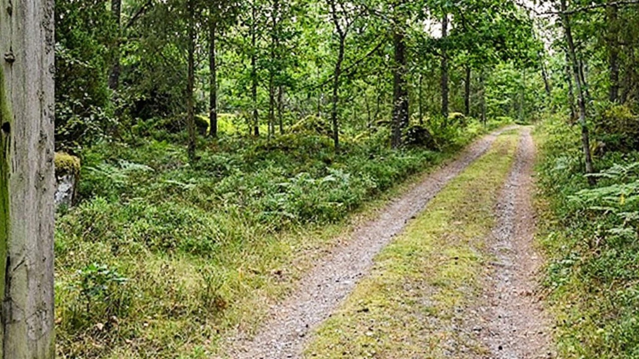 Photo of Others in Hovmantorp