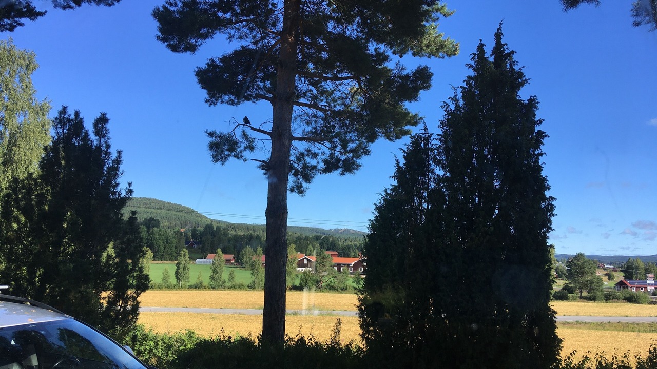 Photo of Outdoor in Jarvso