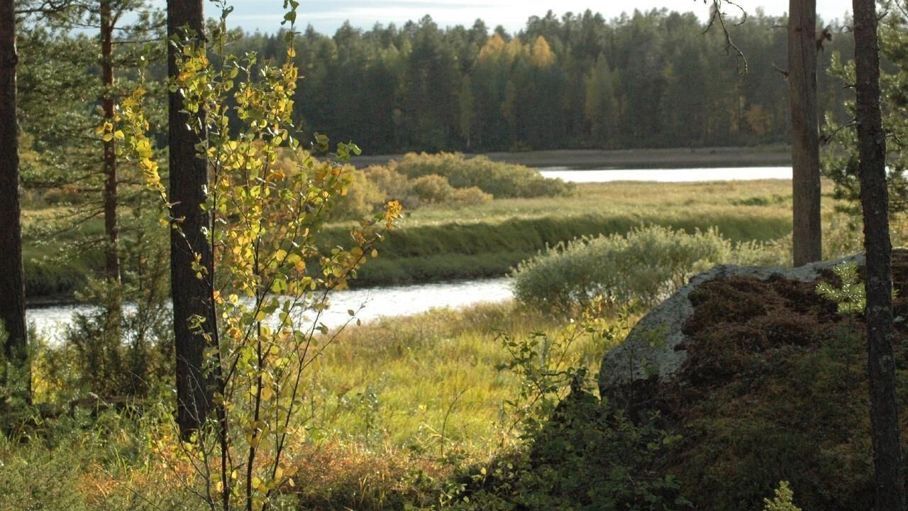 Photo of Outdoor in Amsele