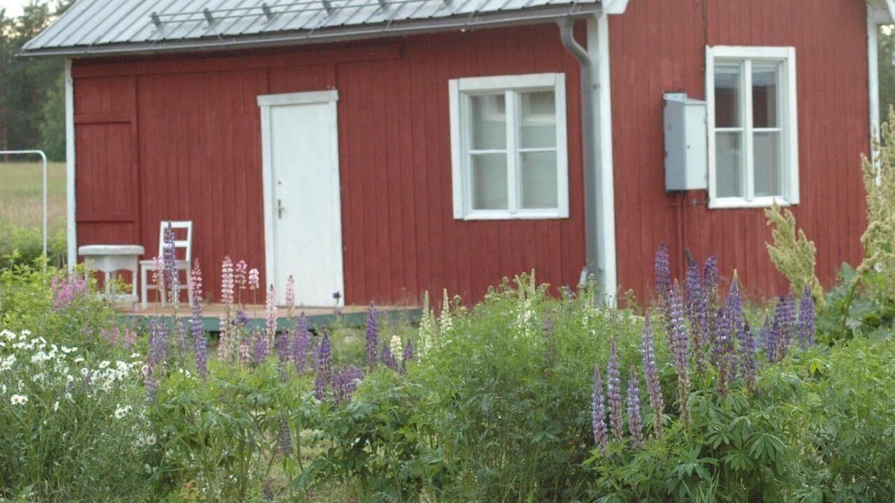 Photo of Outdoor in Amsele