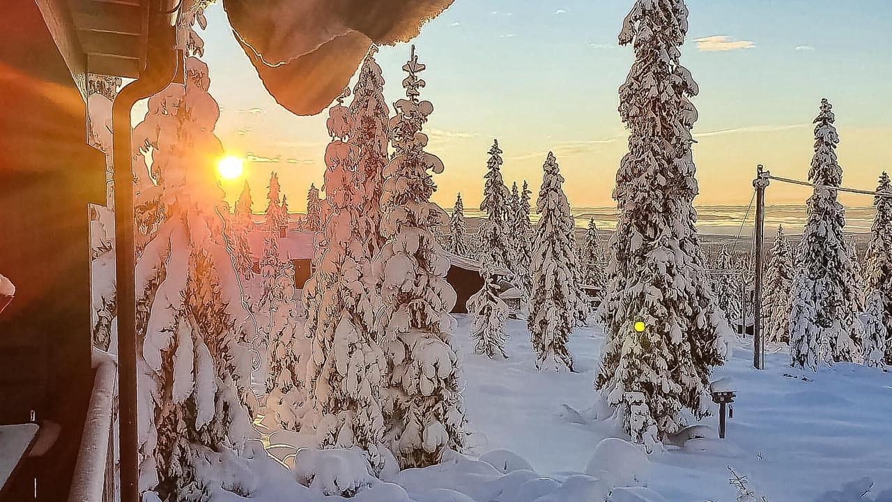 Photo of Others in Sjusjoen